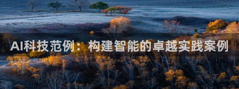 AI科技范例：构建智能的卓越实践案例