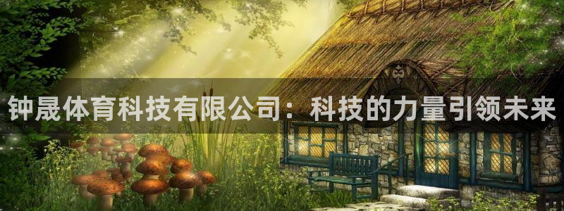 钟晟体育科技有限公司：科技的力量引领未来