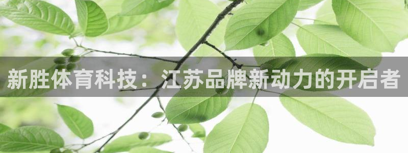 新胜体育科技：江苏品牌新动力的开启者