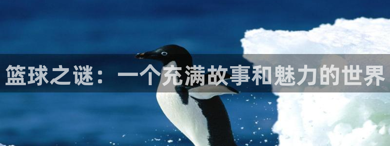 篮球之谜：一个充满故事和魅力的世界