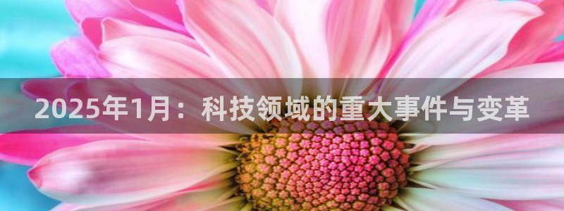 2025年1月：科技领域的重大事件与变革