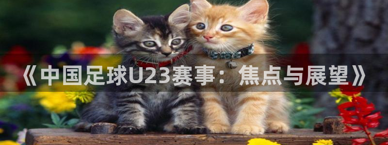 《中国足球U23赛事：焦点与展望》