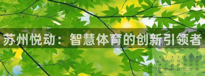 苏州悦动：智慧体育的创新引领者