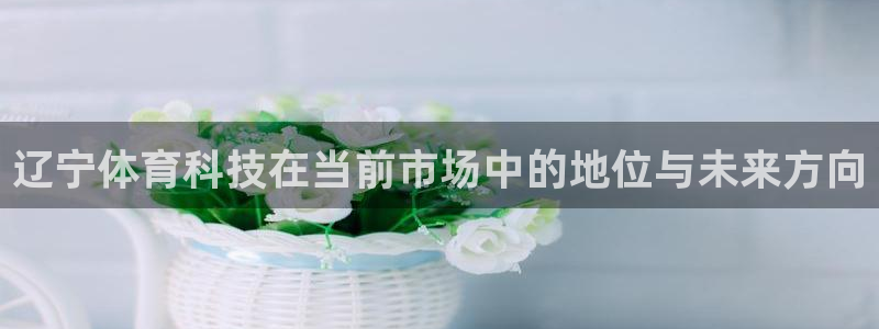 辽宁体育科技在当前市场中的地位与未来方向