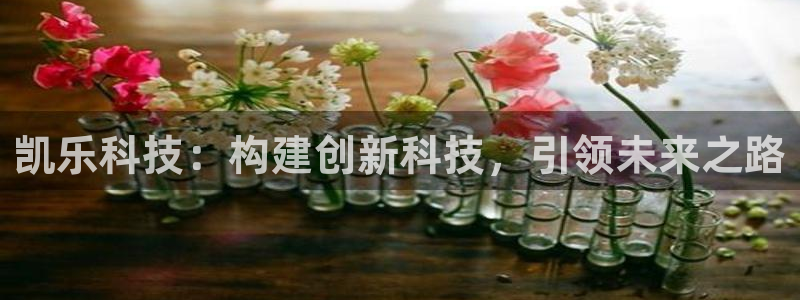 凯乐科技：构建创新科技，引领未来之路