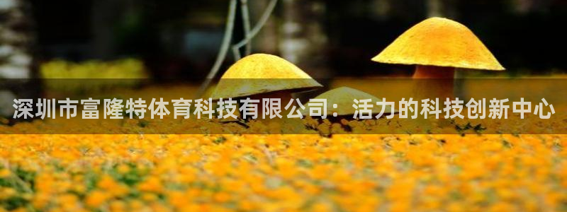 深圳市富隆特体育科技有限公司：活力的科技创新中心