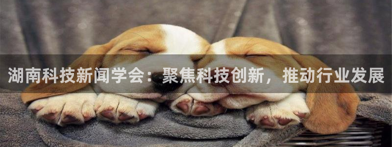 湖南科技新闻学会：聚焦科技创新，推动行业发展