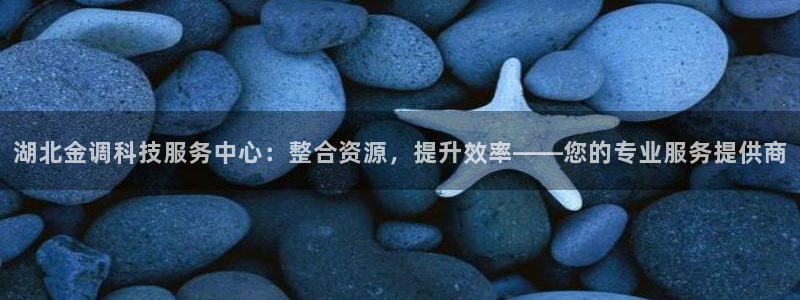 湖北金调科技服务中心：整合资源，提升效率——您的专业服务提供商