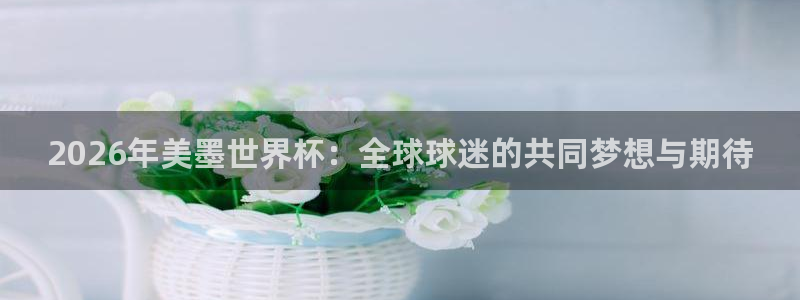 2026年美墨世界杯：全球球迷的共同梦想与期待