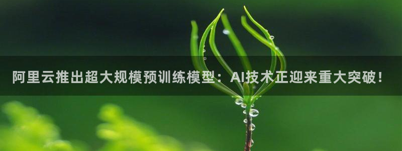 阿里云推出超大规模预训练模型：AI技术正迎来重大突破！