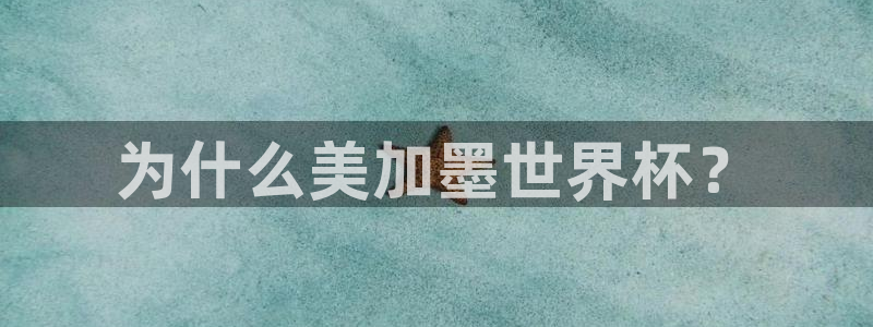 为什么美加墨世界杯？