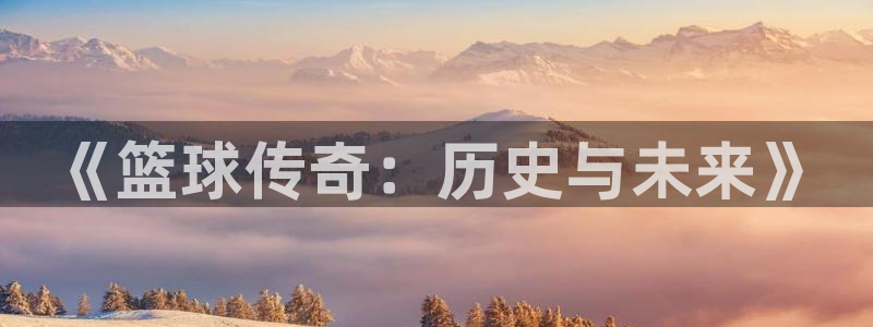 《篮球传奇：历史与未来》