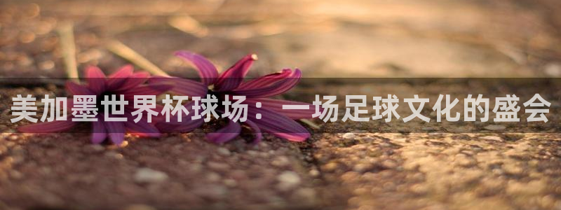 美加墨世界杯球场：一场足球文化的盛会