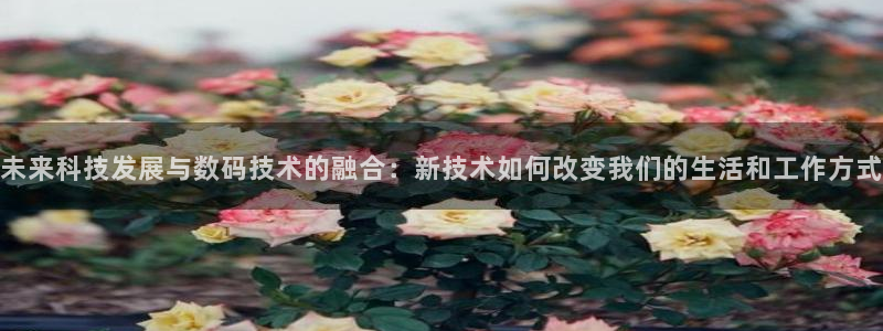 未来科技发展与数码技术的融合：新技术如何改变我们的生活和工作方式