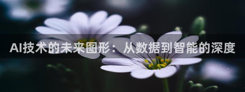 AI技术的未来图形：从数据到智能的深度