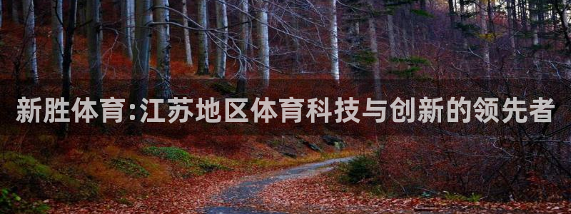 新胜体育:江苏地区体育科技与创新的领先者