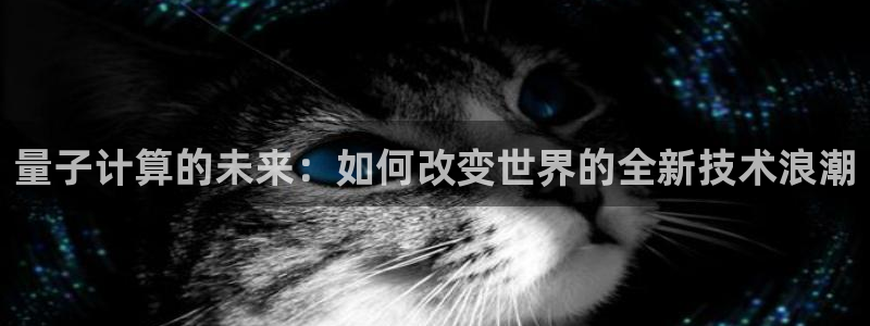 量子计算的未来：如何改变世界的全新技术浪潮