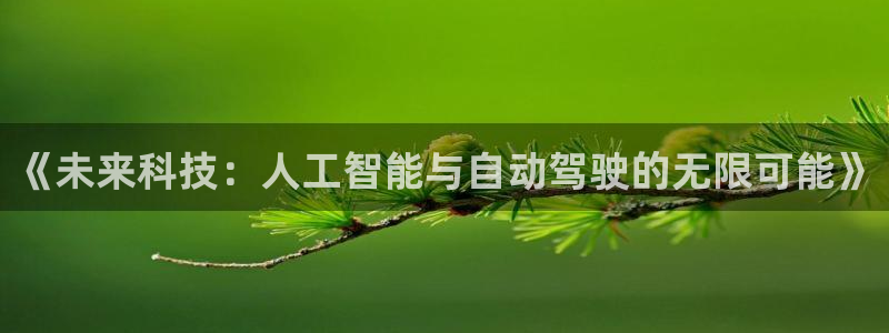 《未来科技：人工智能与自动驾驶的无限可能》