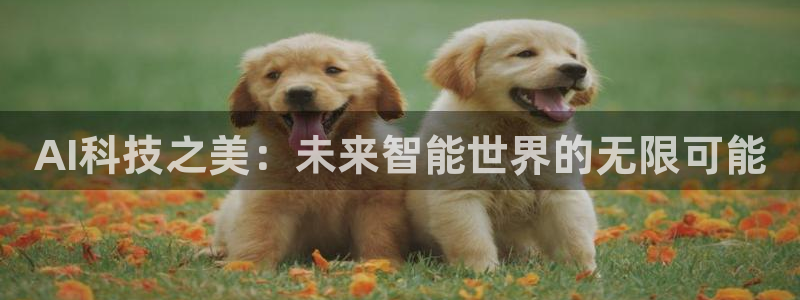 AI科技之美：未来智能世界的无限可能