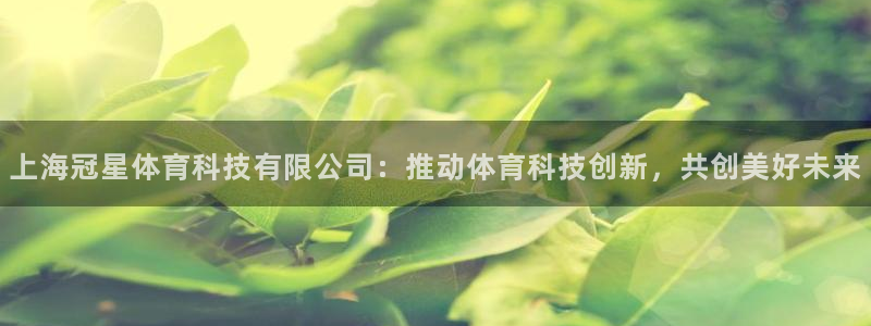 上海冠星体育科技有限公司：推动体育科技创新，共创美好未来