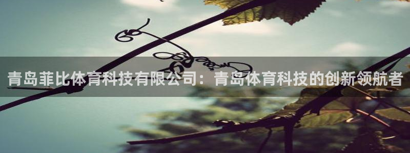 青岛菲比体育科技有限公司：青岛体育科技的创新领航者