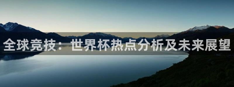 全球竞技：世界杯热点分析及未来展望