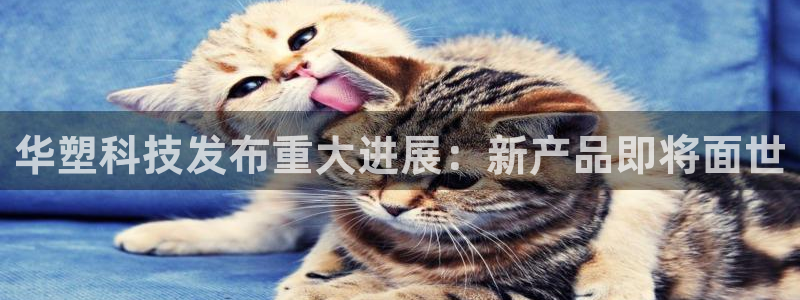 华塑科技发布重大进展：新产品即将面世