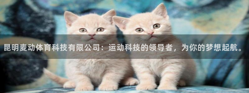 昆明麦动体育科技有限公司：运动科技的领导者，为你的梦想起航。