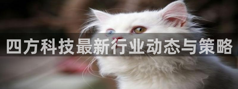 四方科技最新行业动态与策略