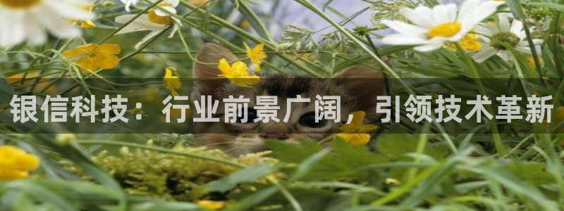 银信科技：行业前景广阔，引领技术革新