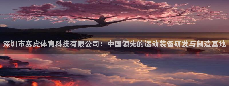 深圳市赛虎体育科技有限公司：中国领先的运动装备研发与制造基地