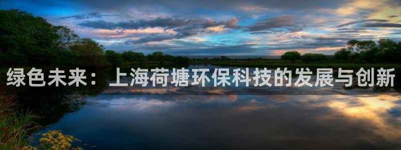 绿色未来：上海荷塘环保科技的发展与创新