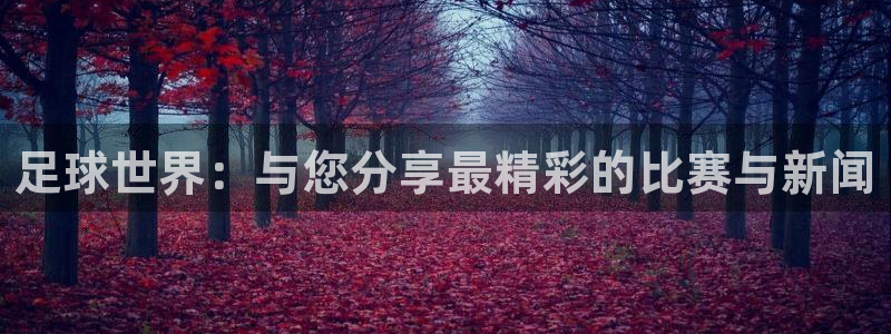 足球世界：与您分享最精彩的比赛与新闻