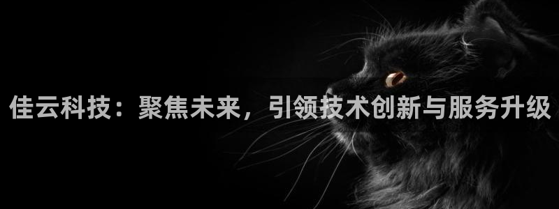 佳云科技：聚焦未来，引领技术创新与服务升级