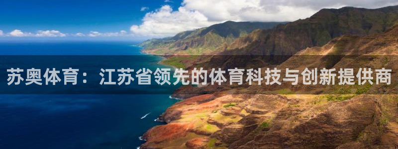 苏奥体育：江苏省领先的体育科技与创新提供商
